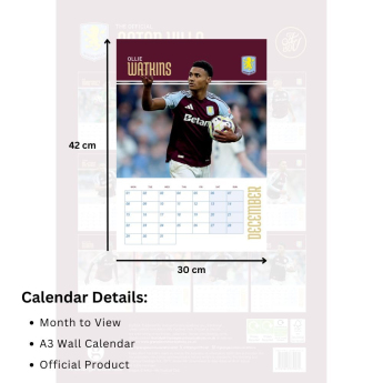 Aston Villa kalendar 2025