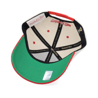 Detroit Red Wings šilterica ravnog oboda Retro Type Pro Snapback