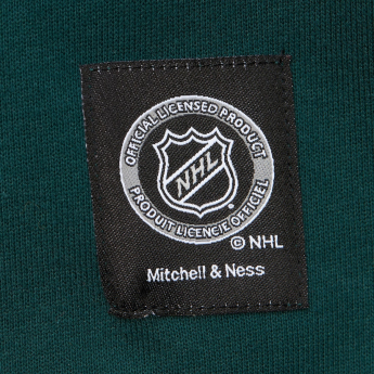 Minnesota Wild muška majica s kapuljačom Retro Fleece Current Logo