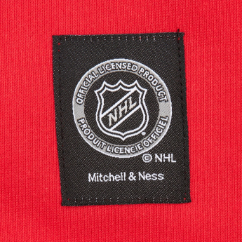 Florida Panthers muška majica s kapuljačom Retro Fleece Current Logo