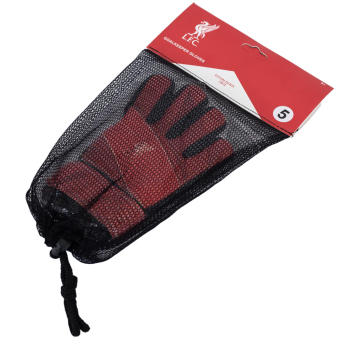 FC Liverpool dječje vratarske rukavice Fuse Goalkeeper Gloves Kids 67-73mm palm width