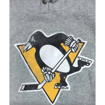Pittsburgh Penguins muška majica s kapuljačom grey Knockaround Headline