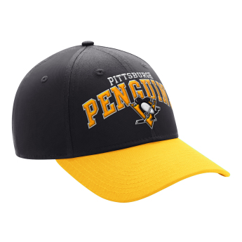 Pittsburgh Penguins kapa za bejzbol Crown Pleaser