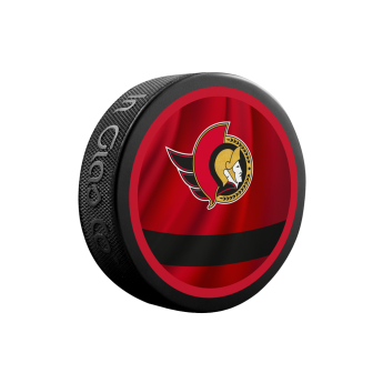 Ottawa Senators pak reverse retro jersey souvenir collector hockey puck