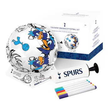 Tottenham Hotspur nogometna lopta Colour - size 2