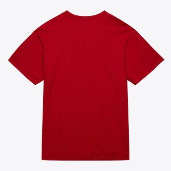 Detroit Red Wings muška majica NHL Legendary Slub Ss