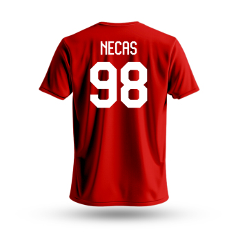 Hokejaške reprezentacije dječja majica Czech Republic Martin Nečas #98 National Emblem 2025 red