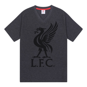 FC Liverpool muška pidžama SLab grey