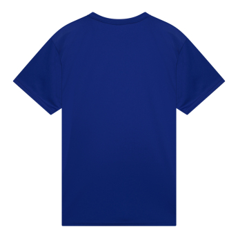 FC Chelsea nogometni dres Poly No1