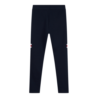 Paris Saint Germain muške donji dio trenirke Stripe blue