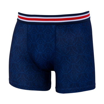 Paris Saint Germain dječje bokserice Stripe blue