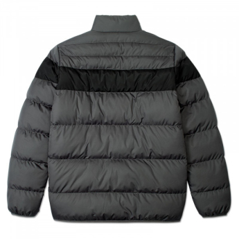 Borussia Dortmund muška zimska jakna Padded grey