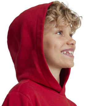 Bayern München dječja majica s kapuljačom Hoody red