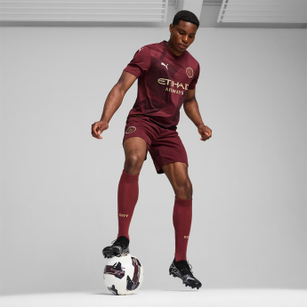 Manchester City nogometni dres 24/25 third