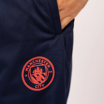 Manchester City muška trenirka 2024/25 Away