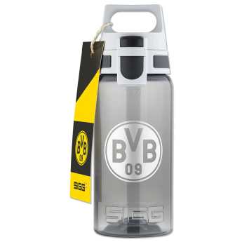 Borussia Dortmund boca za piće grey