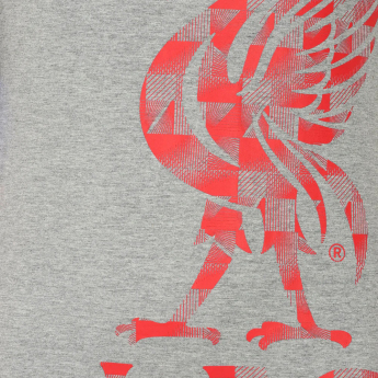 FC Liverpool muška majica Graphic grey