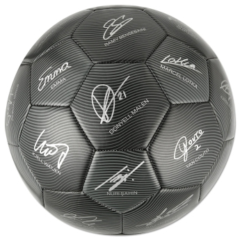 Borussia Dortmund nogometna lopta 24/25 with signatures