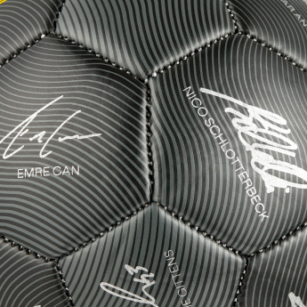 Borussia Dortmund nogometna lopta 24/25 with signatures