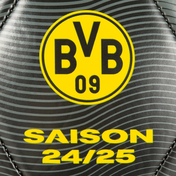 Borussia Dortmund nogometna lopta 24/25 with signatures