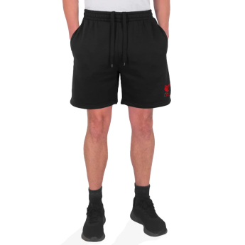 FC Liverpool muške kratke hlače Shorts black