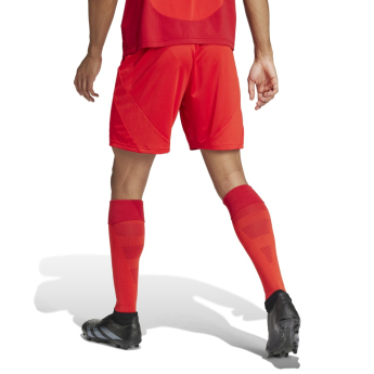 Bayern München nogometne hlačice 24/25 home