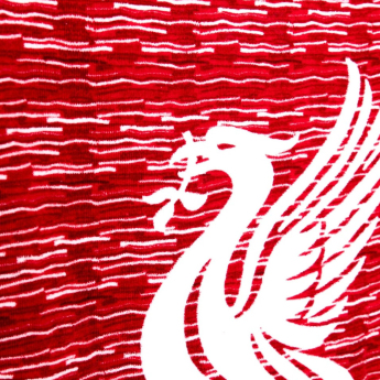 FC Liverpool ručnik Beach