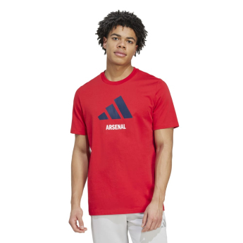 FC Arsenal muška majica Seasonal Graphic red