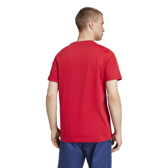 Bayern München muška majica DNA Tee red