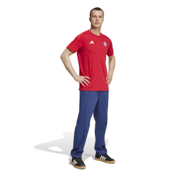 Bayern München muška majica DNA Tee red