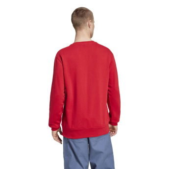 Bayern München muška majica DNA Sweat red