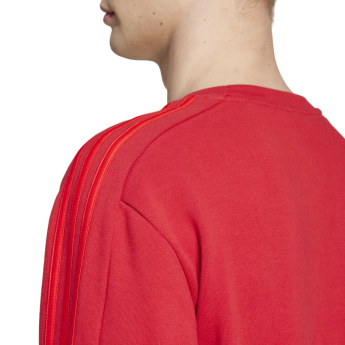 Bayern München muška majica DNA Sweat red