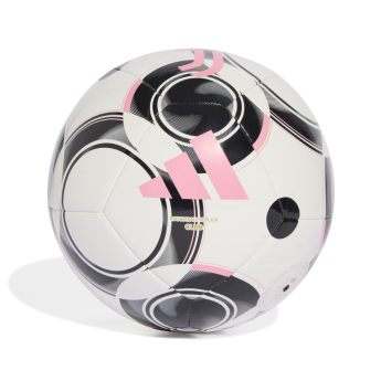 Juventus Torino nogometna lopta Soccer