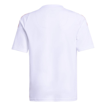 Lionel Messi dječji nogometni dres MESSI Stripe white
