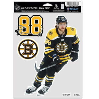Boston Bruins naljepnice David Pastrnak #88 Color Decal