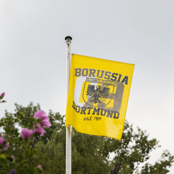Borussia Dortmund zastava stadt logo