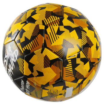 Borussia Dortmund nogometna lopta Spirit