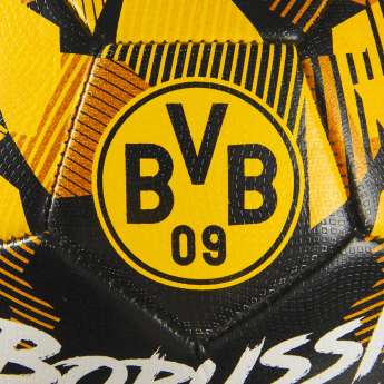 Borussia Dortmund nogometna lopta Spirit