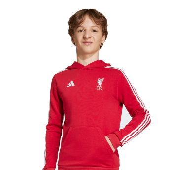 FC Liverpool dječja majica s kapuljačom Hoody red