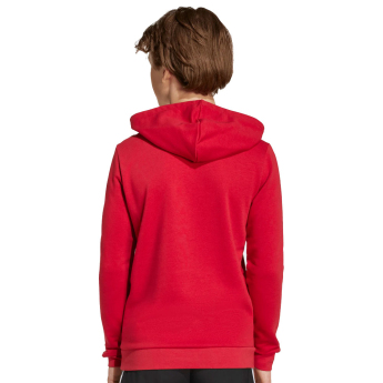 FC Liverpool dječja majica s kapuljačom Hoody red
