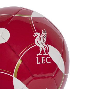 Míč LIVERPOOL FC Club Home