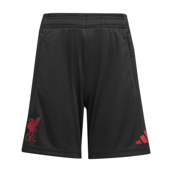 FC Liverpool dječje kratke hlače za trening black