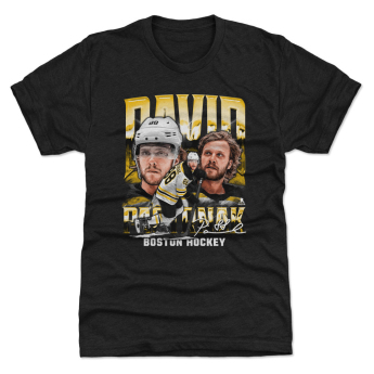 Boston Bruins dětské tričko David Pastrnak #88 Vintage WHT 500 Level