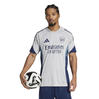 FC Arsenal muški dres za trening grey