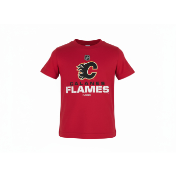 Calgary Flames dječja majica NHL Clean Cut red