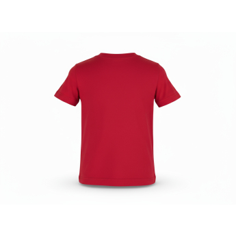 Calgary Flames dječja majica NHL Clean Cut red