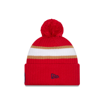 Florida Panthers zimske kape New Era Cold Winter