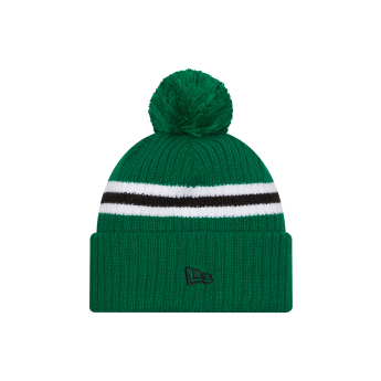 Dallas Stars zimske kape New Era Cold Winter