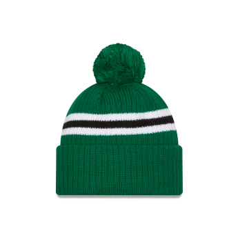 Dallas Stars zimske kape New Era Cold Winter