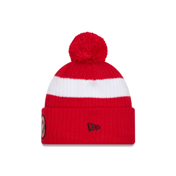 Detroit Red Wings zimske kape New Era Cold Winter